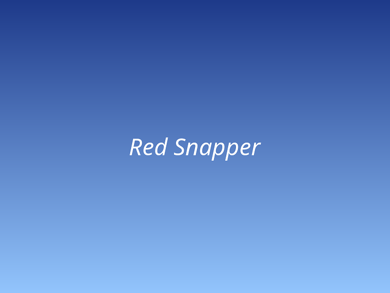 Red Snapper