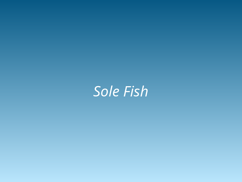 Sole Fish