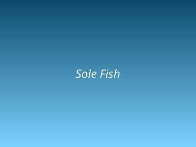 Sole Fish picture 2