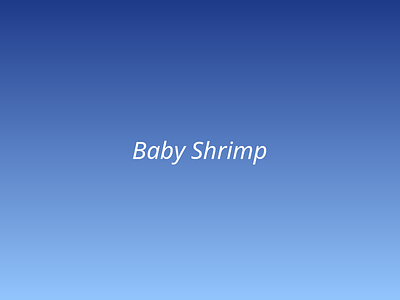 Baby Shrimp picture 1