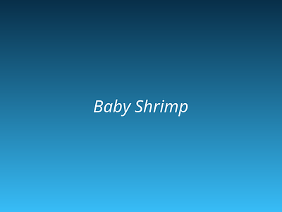 Baby Shrimp picture 2