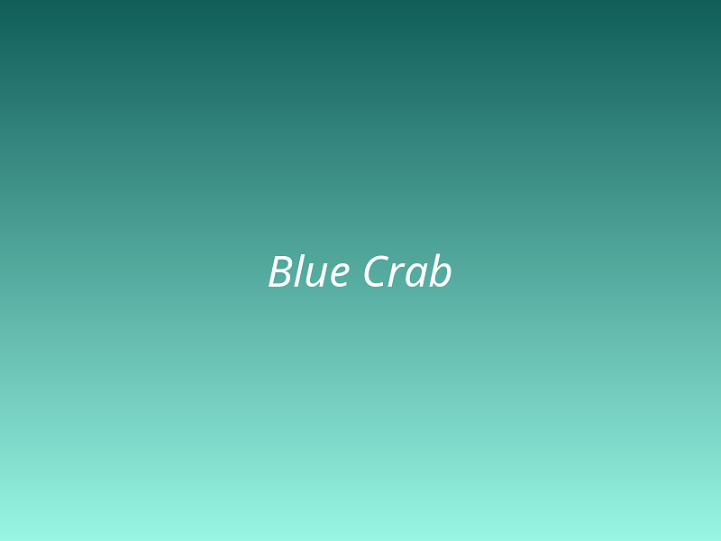 Blue Crab