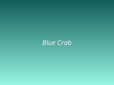 Blue Crab picture 1
