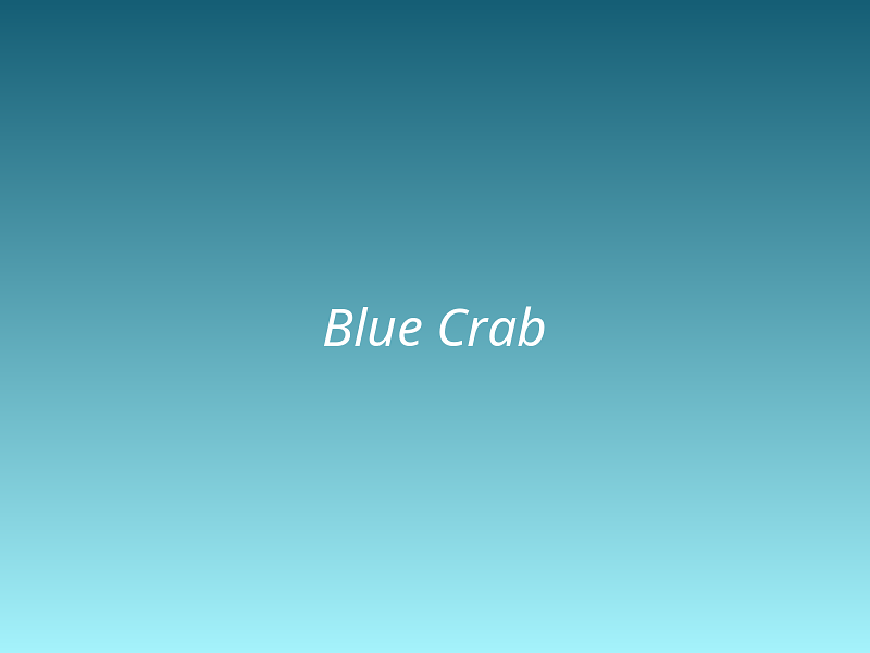 Blue Crab