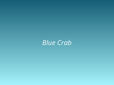 Blue Crab picture 2