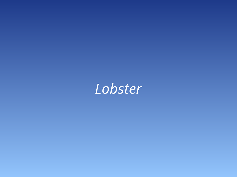 Lobster