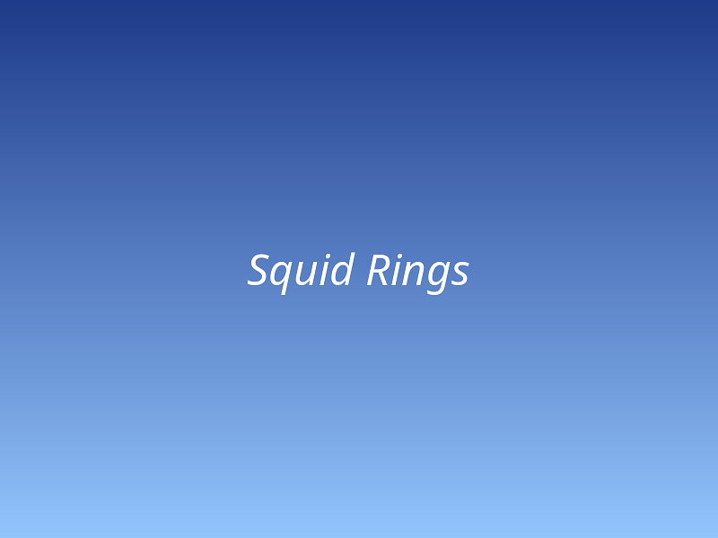 Squid Rings