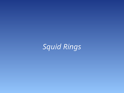 Squid Rings picture 1