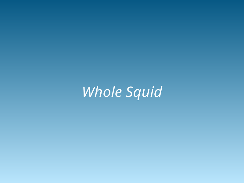 Whole Squid