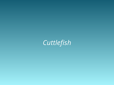 Cuttlefish picture 1