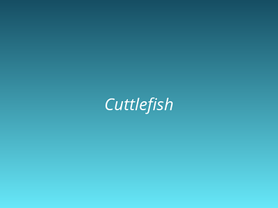 Cuttlefish picture 2