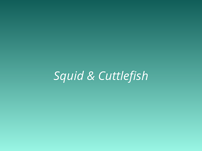 Squid & Cuttlefish