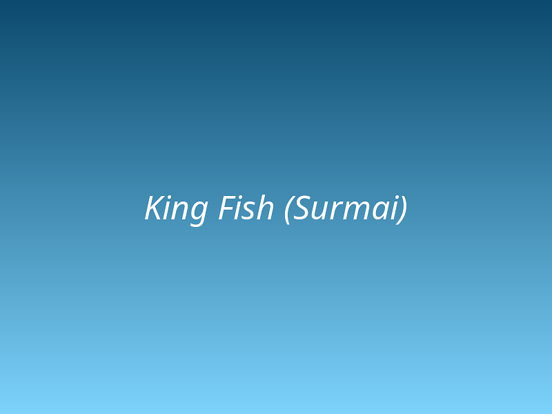 King Fish (Surmai)