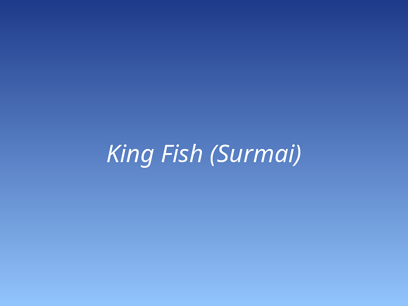 King Fish (Surmai)