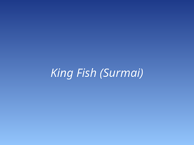 King Fish (Surmai) picture 2